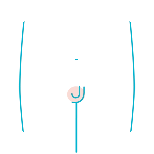 órgão genital órgão genital