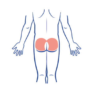 Glúteos completo ícone