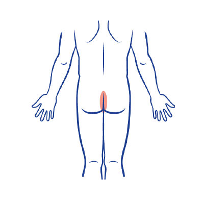Interglutea ícone