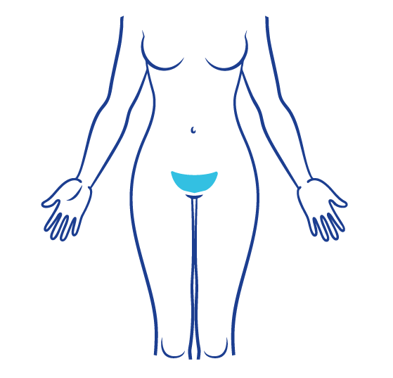 Púbis mulher