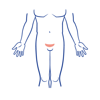 Púbis ícone